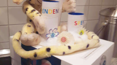 unsere Spendenbox zum Sommerfest